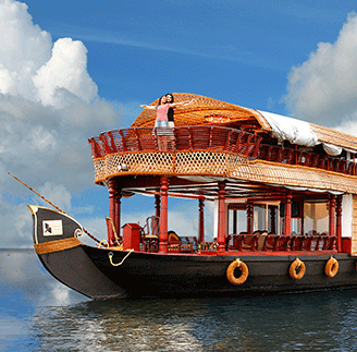 About Venice Castle